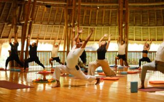 India’s Wellness Presence Grows at World Wellness Weekend