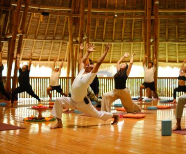 India’s Wellness Presence Grows at World Wellness Weekend